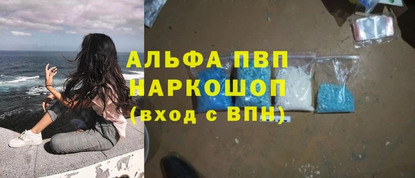 шишки Белоозёрский
