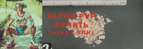 шишки Белоозёрский