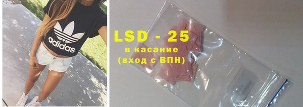 шишки Белоозёрский