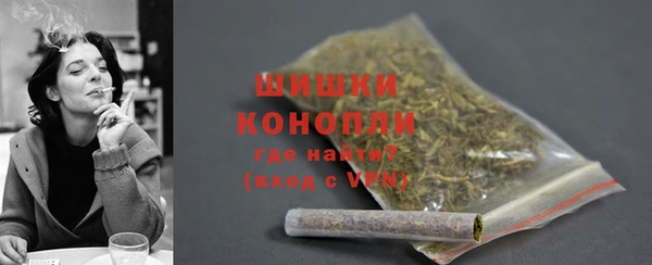 шишки Белоозёрский
