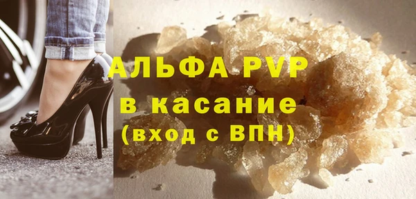 шишки Белоозёрский