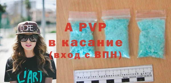 шишки Белоозёрский