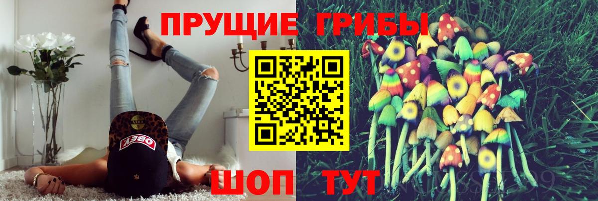 Псилоцибиновые грибы мухоморы  Видное 