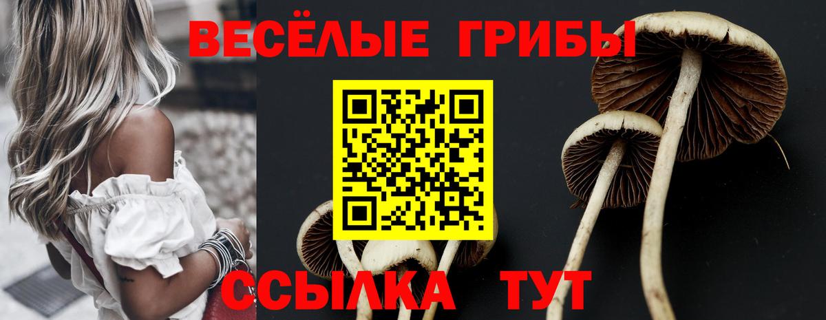 Псилоцибиновые грибы мицелий Видное